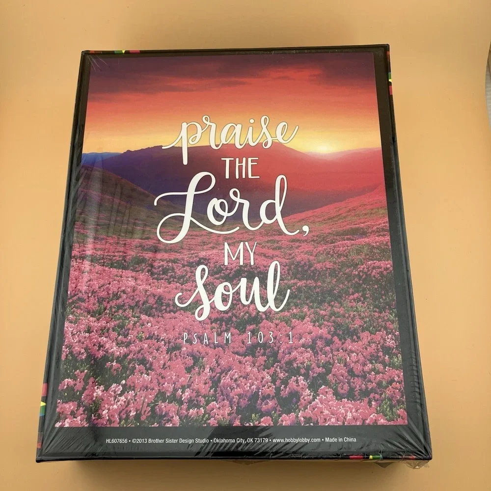 NEW Brother Sister Design Studio 1000 Pcs Jigsaw Puzzle Praise The Lord RELIGOUS